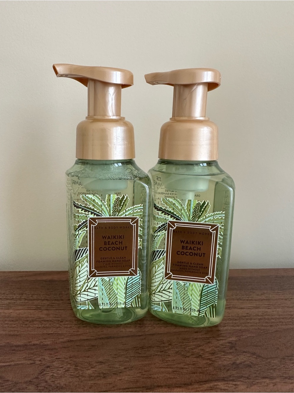 Bath & Body Works Waikiki Beach Coconut Foaming Hand Soap duo